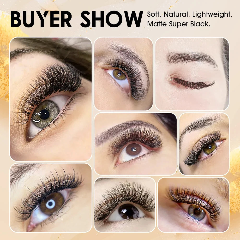 MASSCAKU W-Shape Lash Extensions | 12 Rows