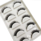 Natural 3D False Lashes | 5 Pairs