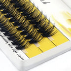 20D/30D Lash Clusters | 60 Bundles