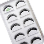 Natural 3D False Lashes | 5 Pairs